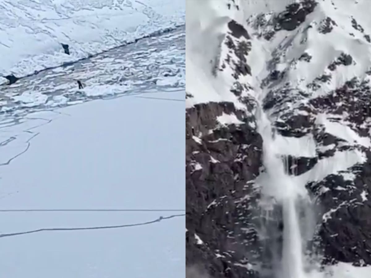 Avalancha en Portillo: condiciones climáticas impiden recuperar el cuerpo de una víctima
