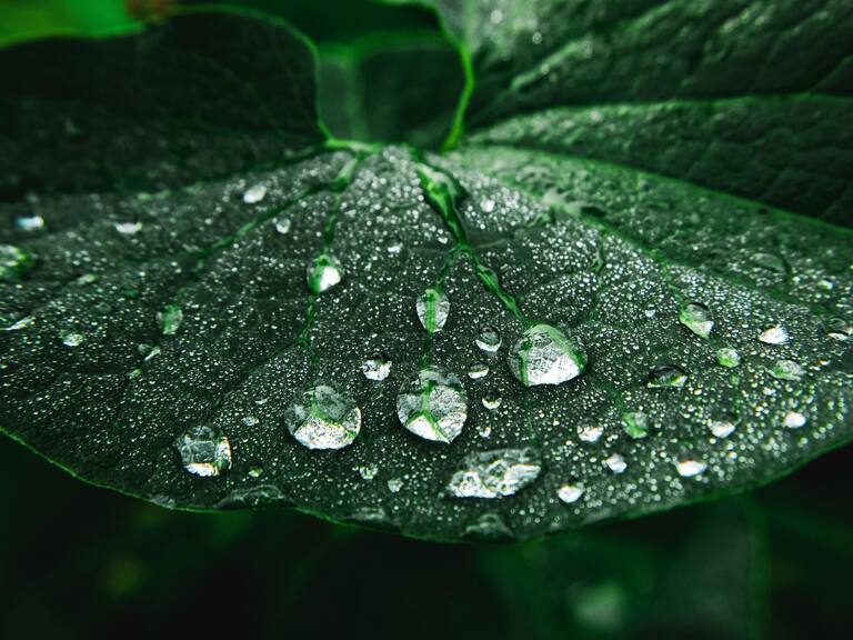 Photo taken in Berlin, Germany