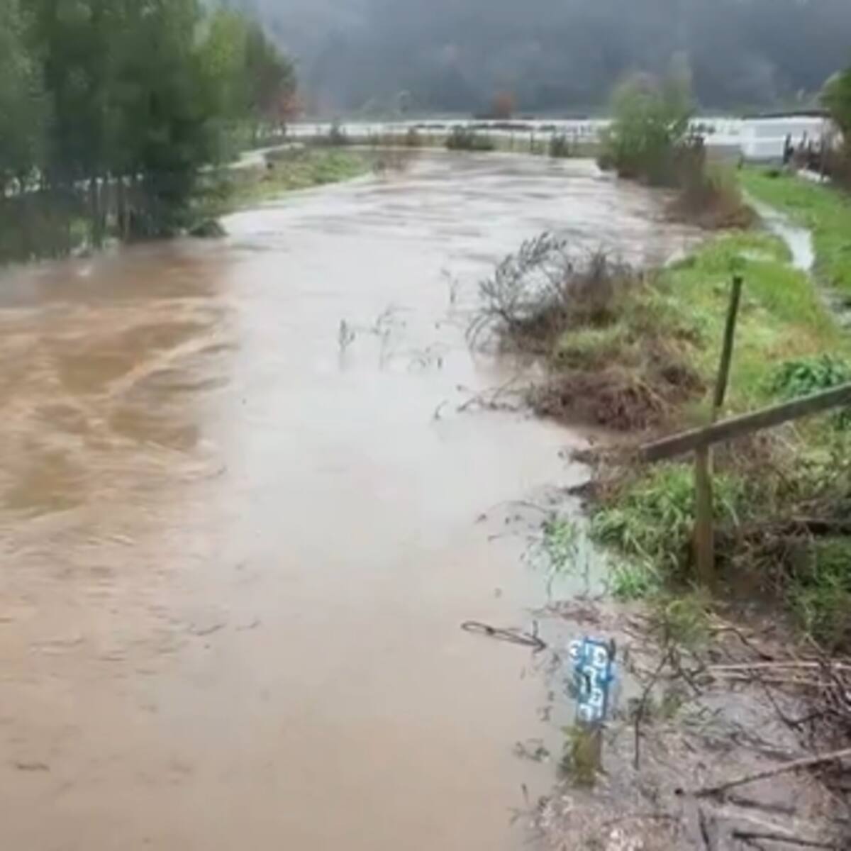Senapred declara Alerta Roja en Arauco por desborde del río Pichilo y activa mensajería SAE