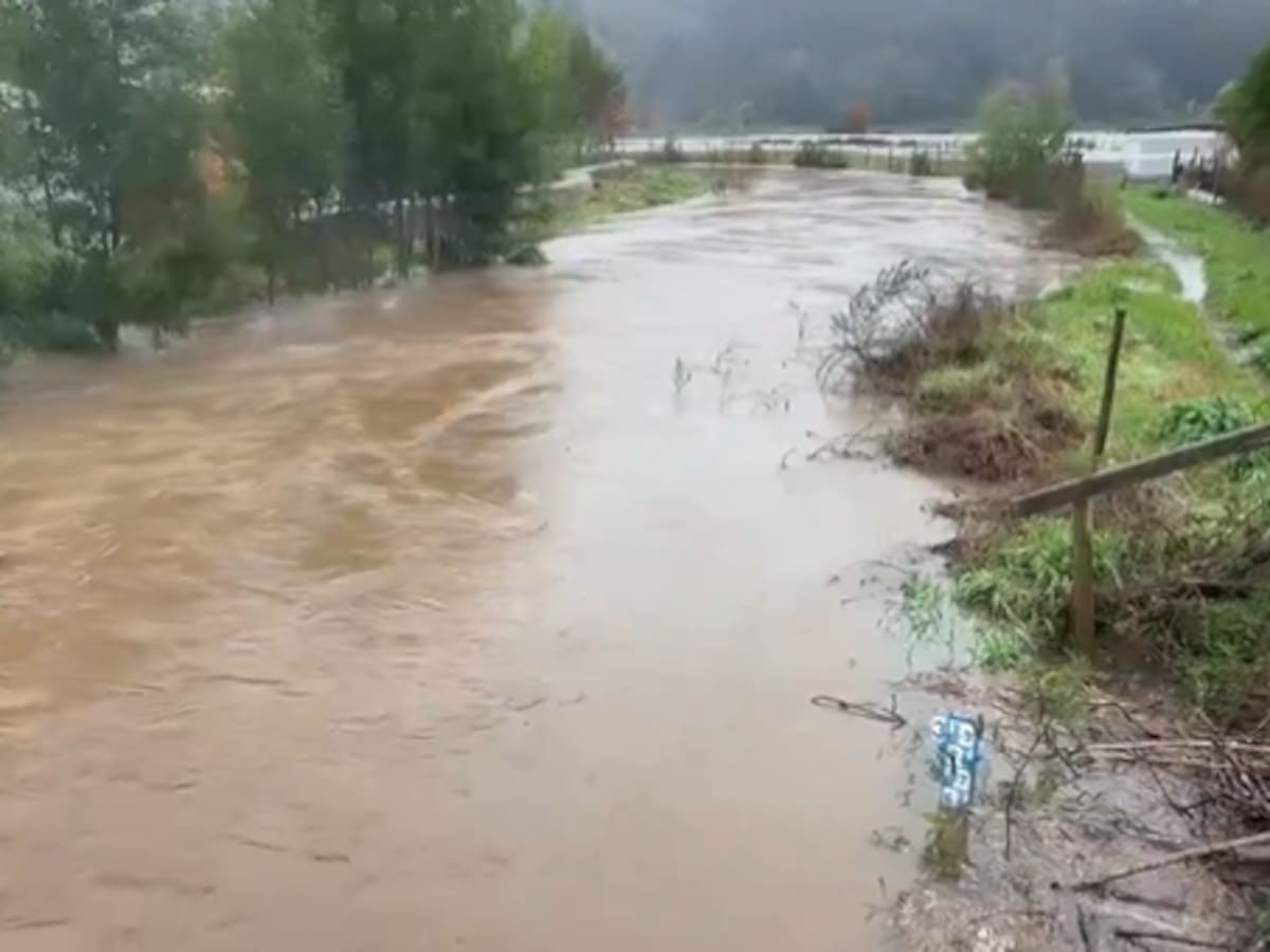 Senapred declara Alerta Roja en Arauco por desborde del río Pichilo y activa mensajería SAE