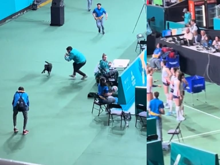Inalcanzable: perro invade partido de vóleibol femenino en Movistar Arena evadiendo captura de voluntarios de Santiago 2023