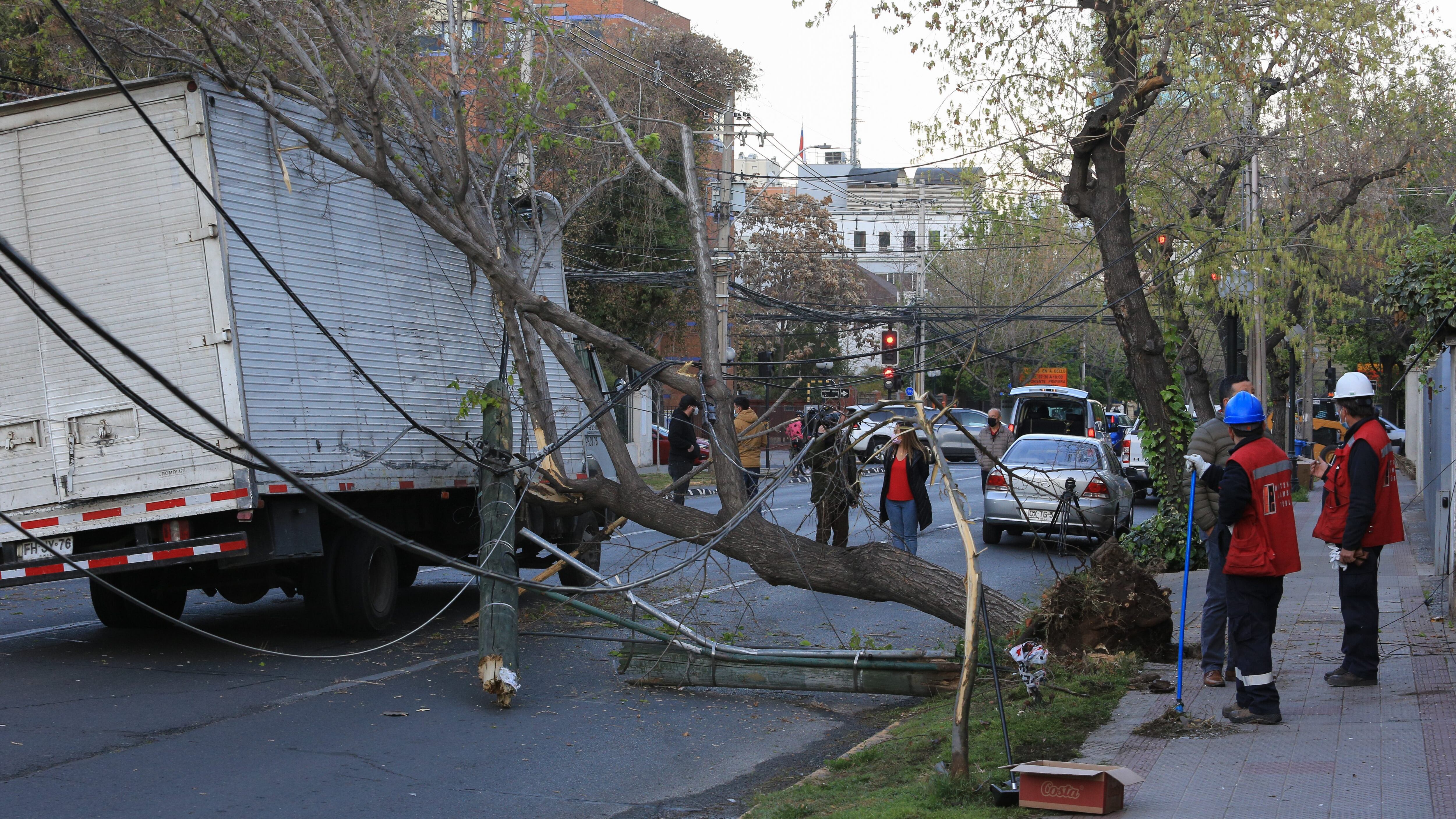 Camión derribó postes en Providencia