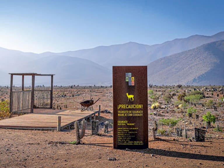 Rechazo por casación en contra de Minera Dominga