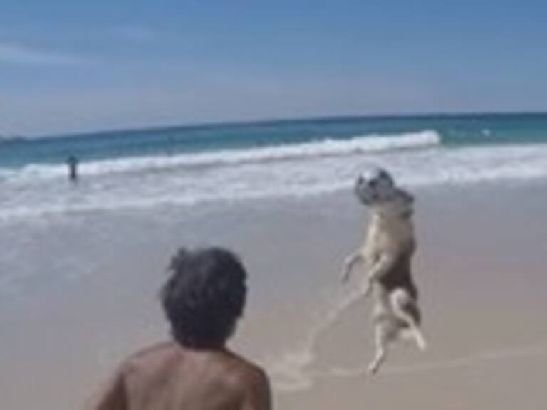 Este perro brasileño juega a las dominadas en la playa
