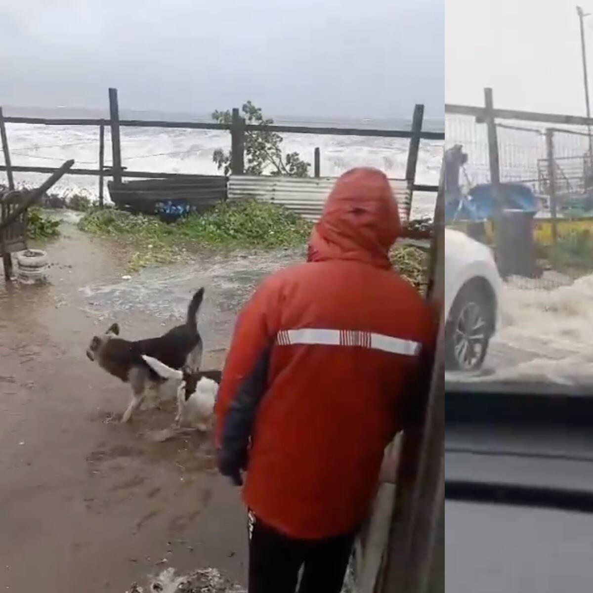 Casas se inundan en Penco: ordenan evacuar Cerro Verde Bajo por intensas marejadas