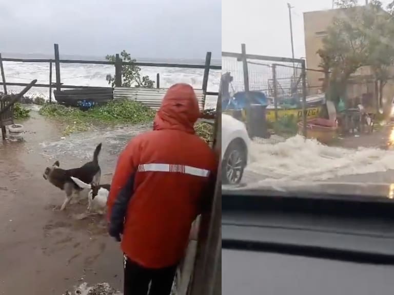 Casas se inundan en Penco: ordenan evacuar Cerro Verde Bajo por intensas marejadas