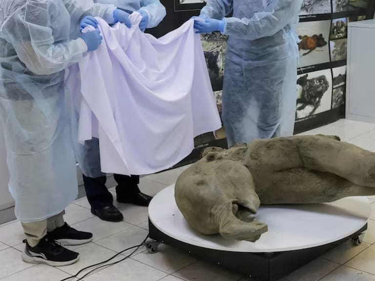 Foto extraída de El País | Roman Kutukov (REUTERS)