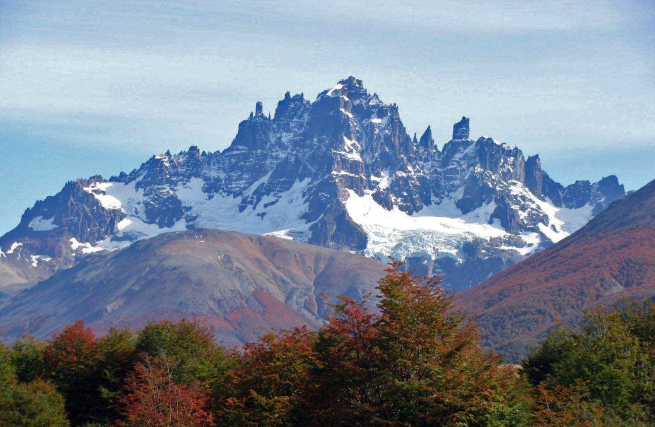 Foto extraída de Conaf | Ministerio de Agricultura