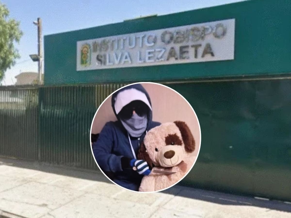 Fotos con cuchillos y video: revelan posts de redes sociales de joven que asesinó a inspectora en colegio de Calama