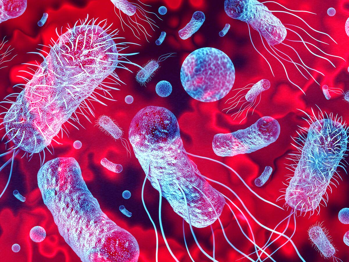 Fiebre Tifoidea resistente a medicamentos: una crisis sanitaria que exige acción urgente, según expertos