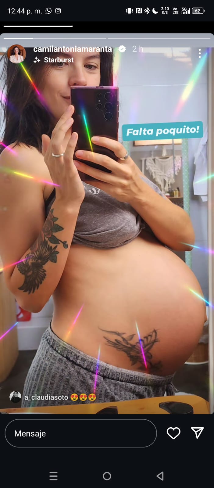 Captura Instagram Camila Vallejo