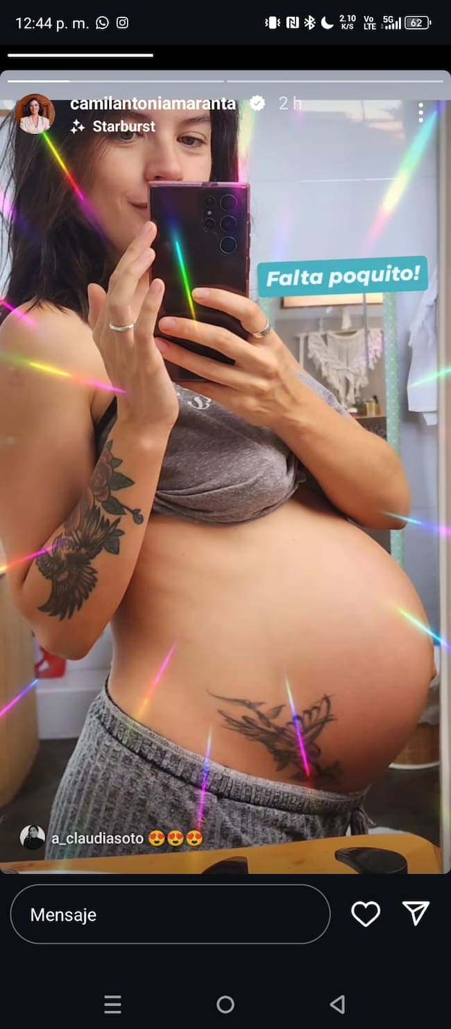 Captura Instagram Camila Vallejo