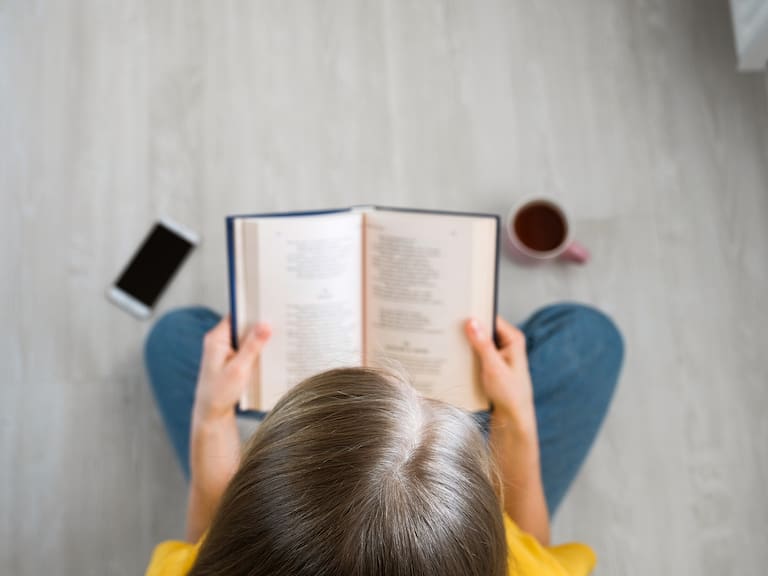 Fiesta de la Lectura: evento gratuito convocará a estudiantes de Santiago para fomentar la cultura