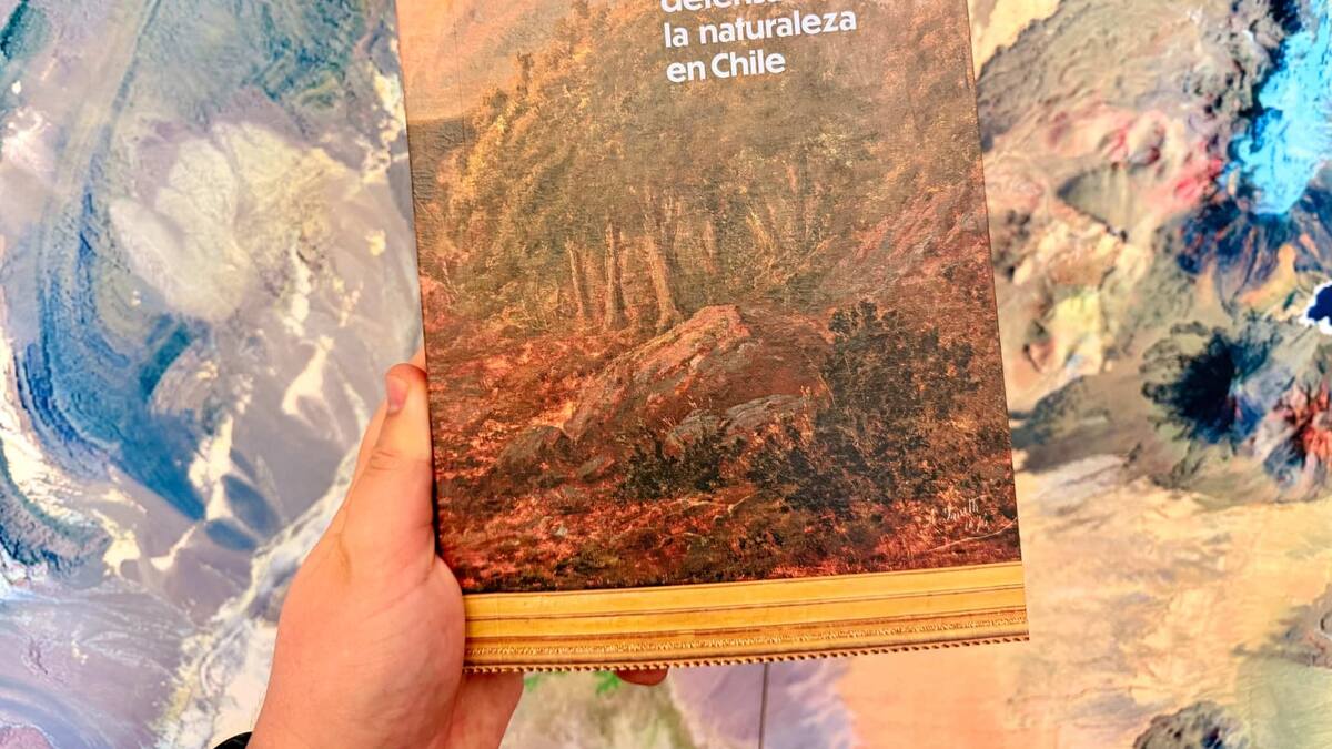Lanzan libro que reúne 68 proyectos de arte ecológico en Chile y mapea su historia desde el siglo XIX