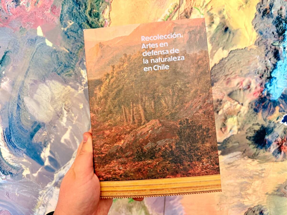 Lanzan libro que reúne 68 proyectos de arte ecológico en Chile y mapea su historia desde el siglo XIX
