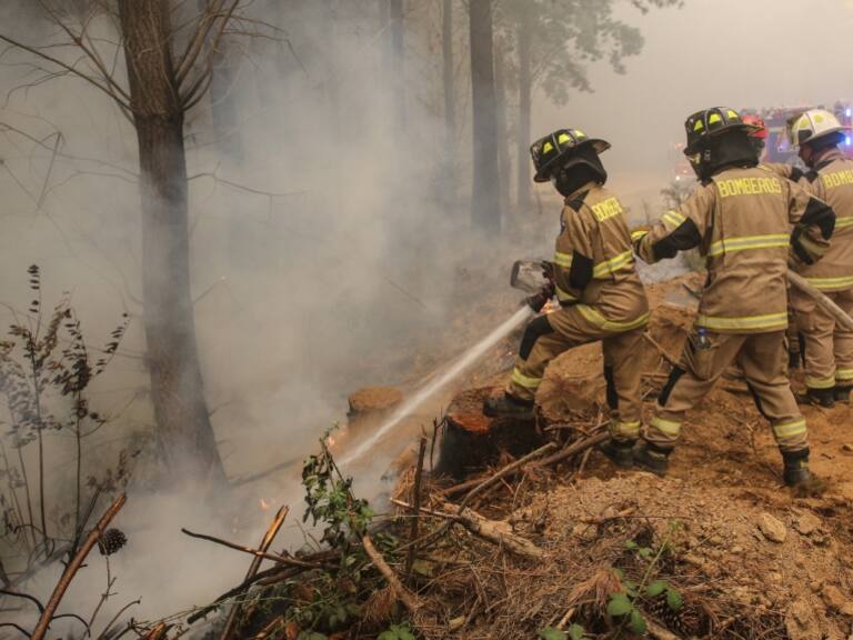 Autoridades informan de 19 incendios forestales en combate en el país
