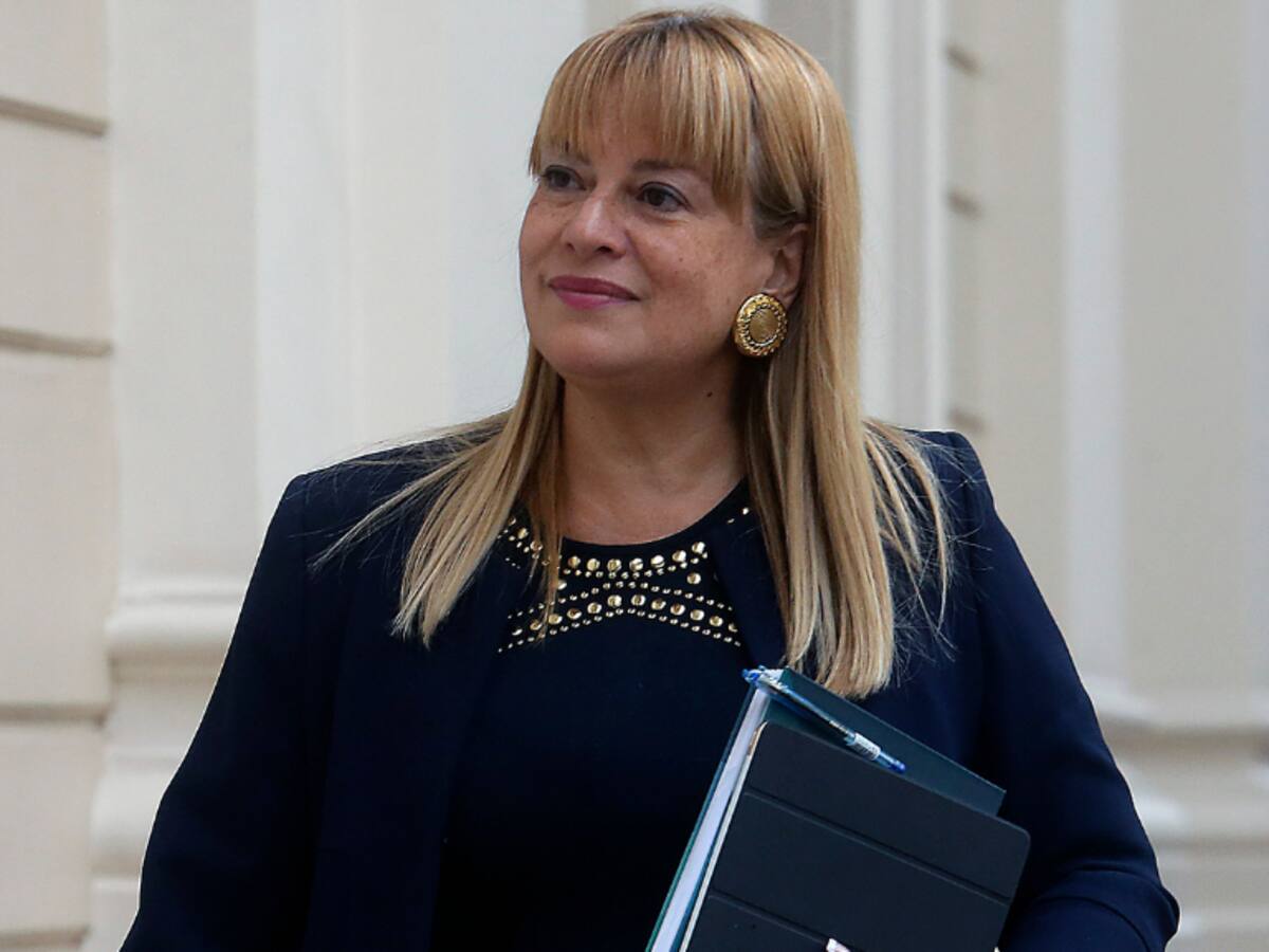 Pleno de la Corte Suprema suspende a Ángela Vivanco por chats con Luis Hermosilla