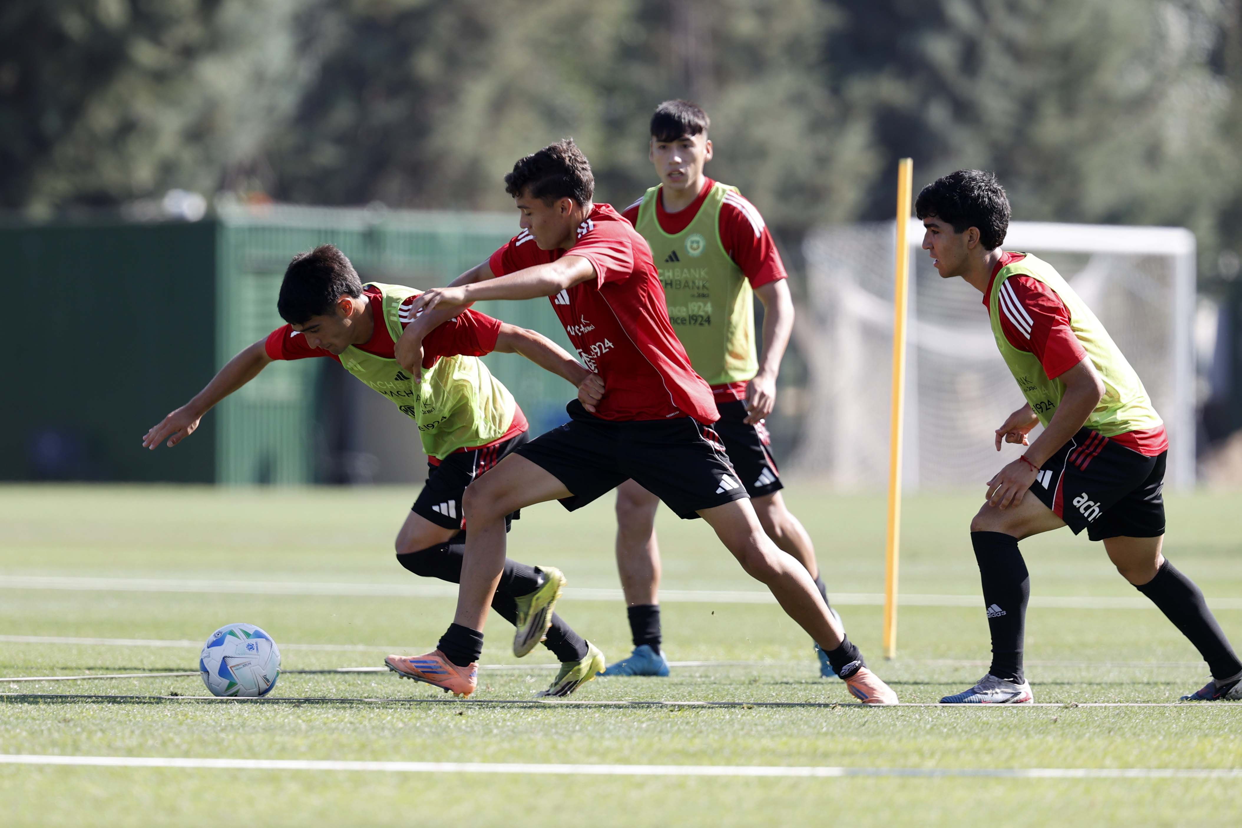 Carlos Parra – Comunicaciones FFCh