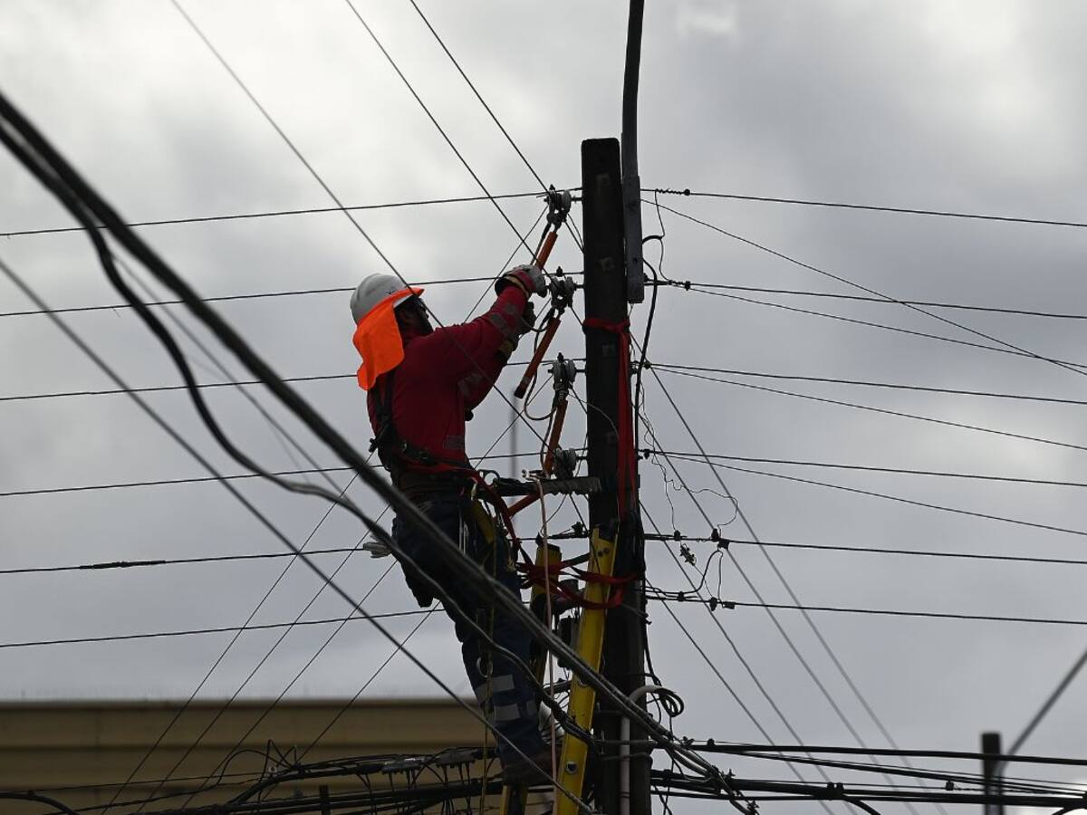 Cortes de luz en La Araucanía: SEC formula cargos a Frontel y Codiner por posibles fallas en sus redes