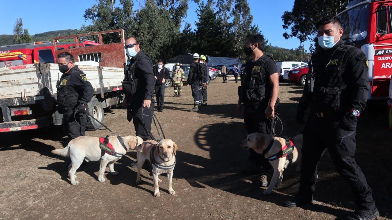 19 DE FEBRERO DE 2021 / LUBUPersonal de la PDI con perro para continuar con  la búsqueda de Tomas niño de tres años desaparecido desde la tarde del miércoles.
FOTO: RODRIGO GAJARDO/ AGENCIAUNO