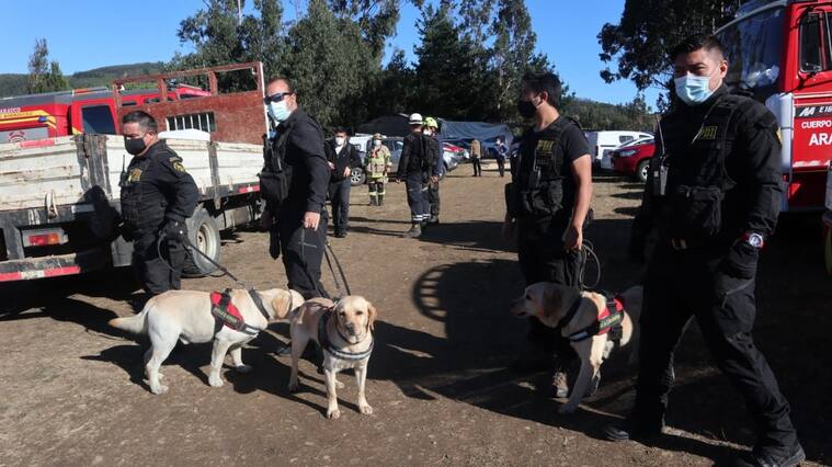 19 DE FEBRERO DE 2021 / LUBUPersonal de la PDI con perro para continuar con la búsqueda de Tomas niño de tres años desaparecido desde la tarde del miércoles.
FOTO: RODRIGO GAJARDO/ AGENCIAUNO