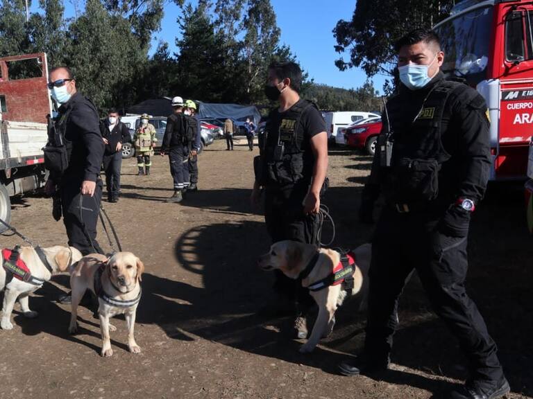 19 DE FEBRERO DE 2021 / LUBUPersonal de la PDI con perro para continuar con la búsqueda de Tomas niño de tres años desaparecido desde la tarde del miércoles.
FOTO: RODRIGO GAJARDO/ AGENCIAUNO