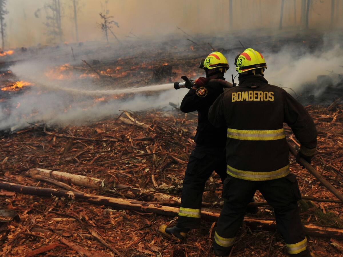 Incendio en Ercilla crece y consume 83 hectáreas: se mantiene Alerta Roja y se acerca a sectores poblados