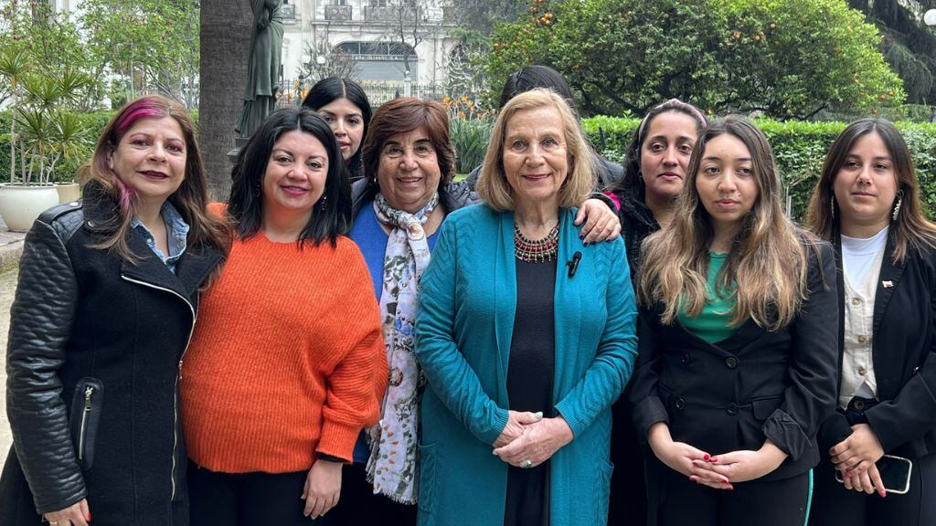 mujeres ppd - aborto - tres causales - consejo constitucional