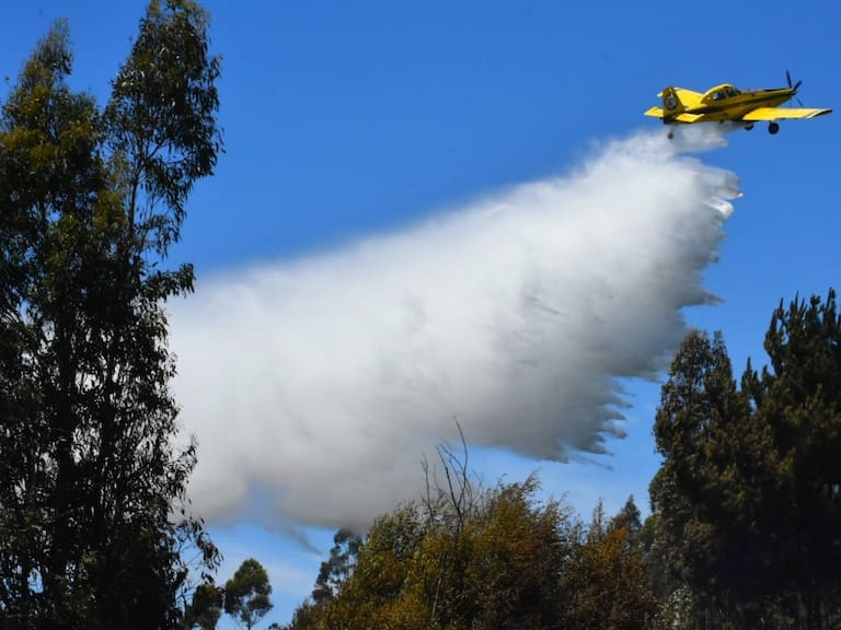 Incendios forestales en Chillán, Chillán viejo, Quillón y Quirihue han consumido cerca de 750 hectáreas