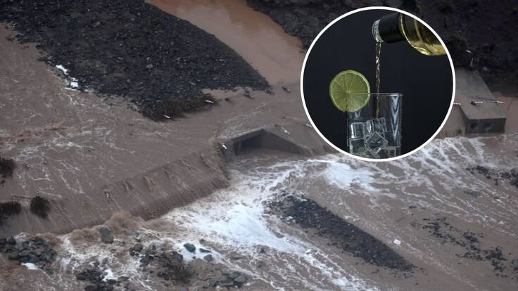 ¿Subirá el pisco? Temporal arrasa parrones y golpea a productores del norte de Chile