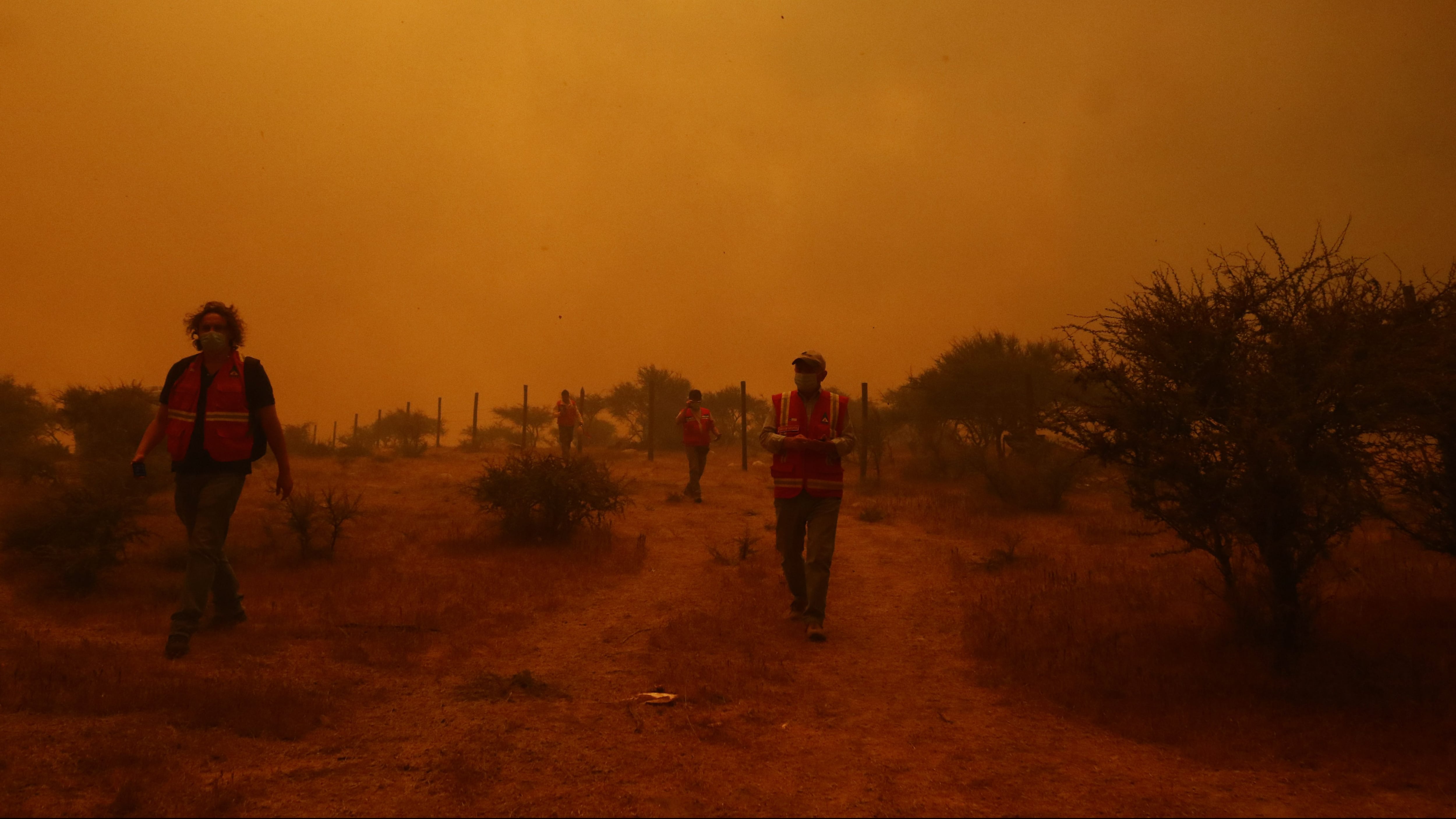 15 DE ENERO DE 2021/QUILPUEIincendio forestal que afecta a la Reserva Nacional Lago Peñuelas.
FOTO: LEONARDO RUBILAR CHANDIA/AGENCIAUNO