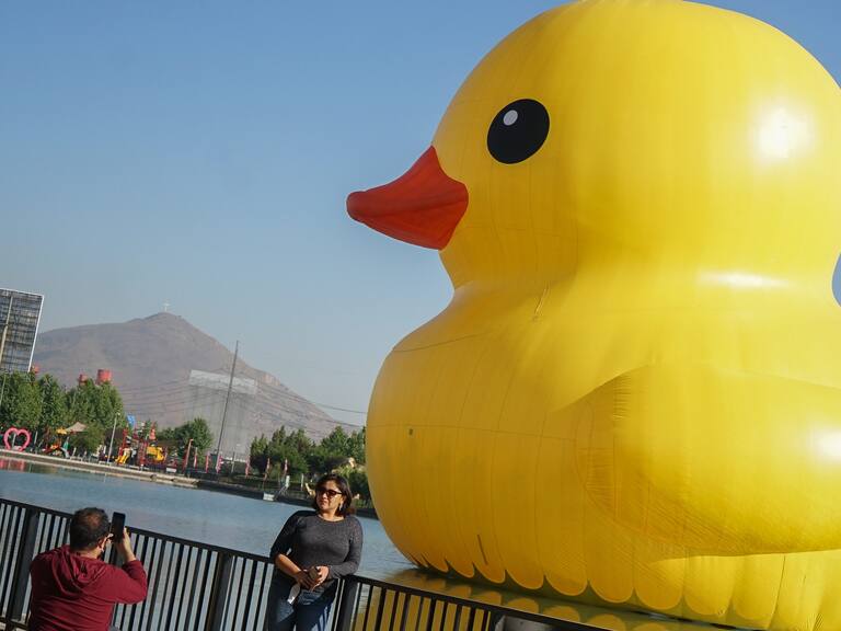 Volvió el Pato de hule gigante en el festival hecho en casa