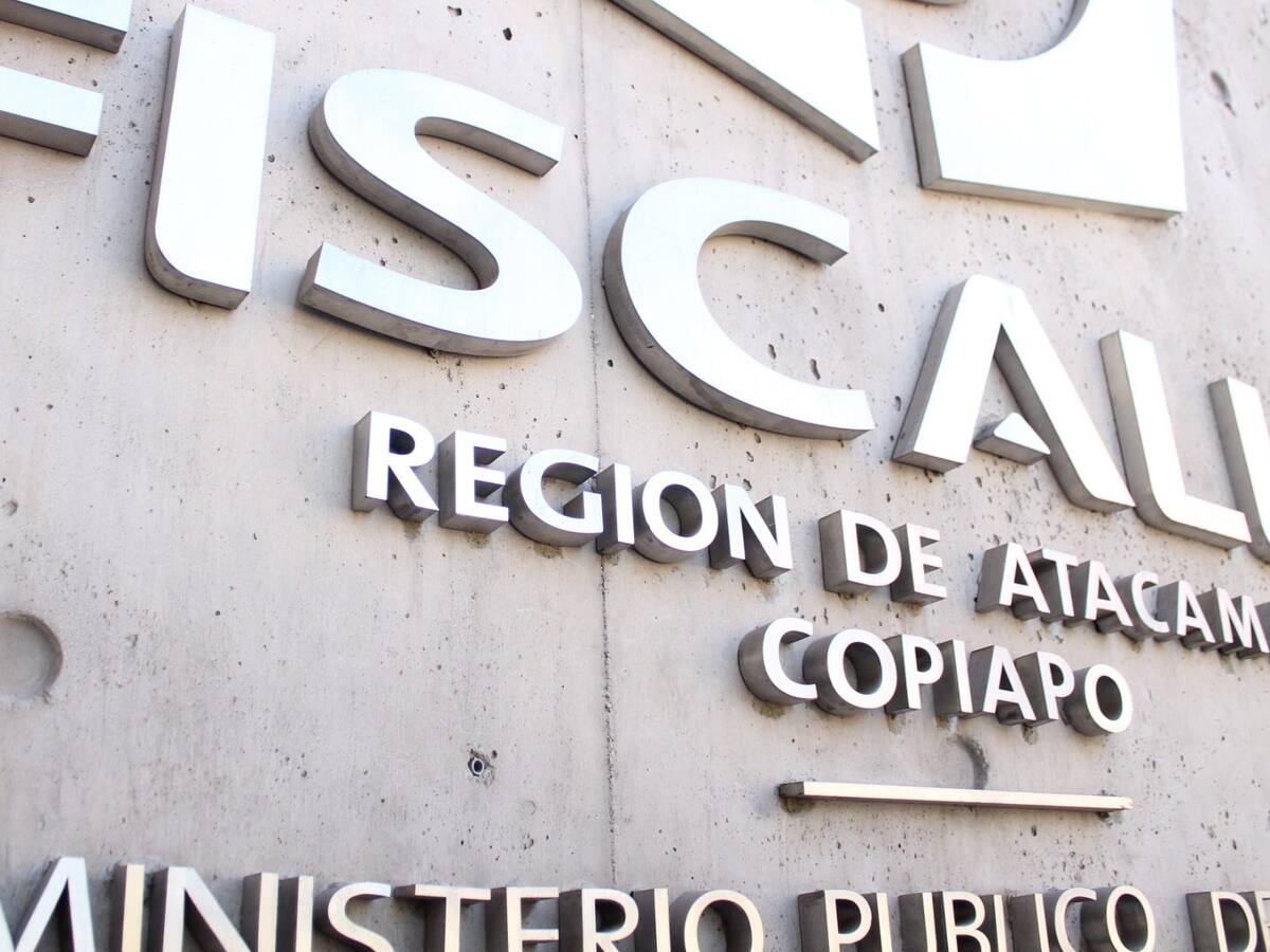 Mujer fue atacada por perros en la vía pública en Copiapó: los dueños fueron formalizados