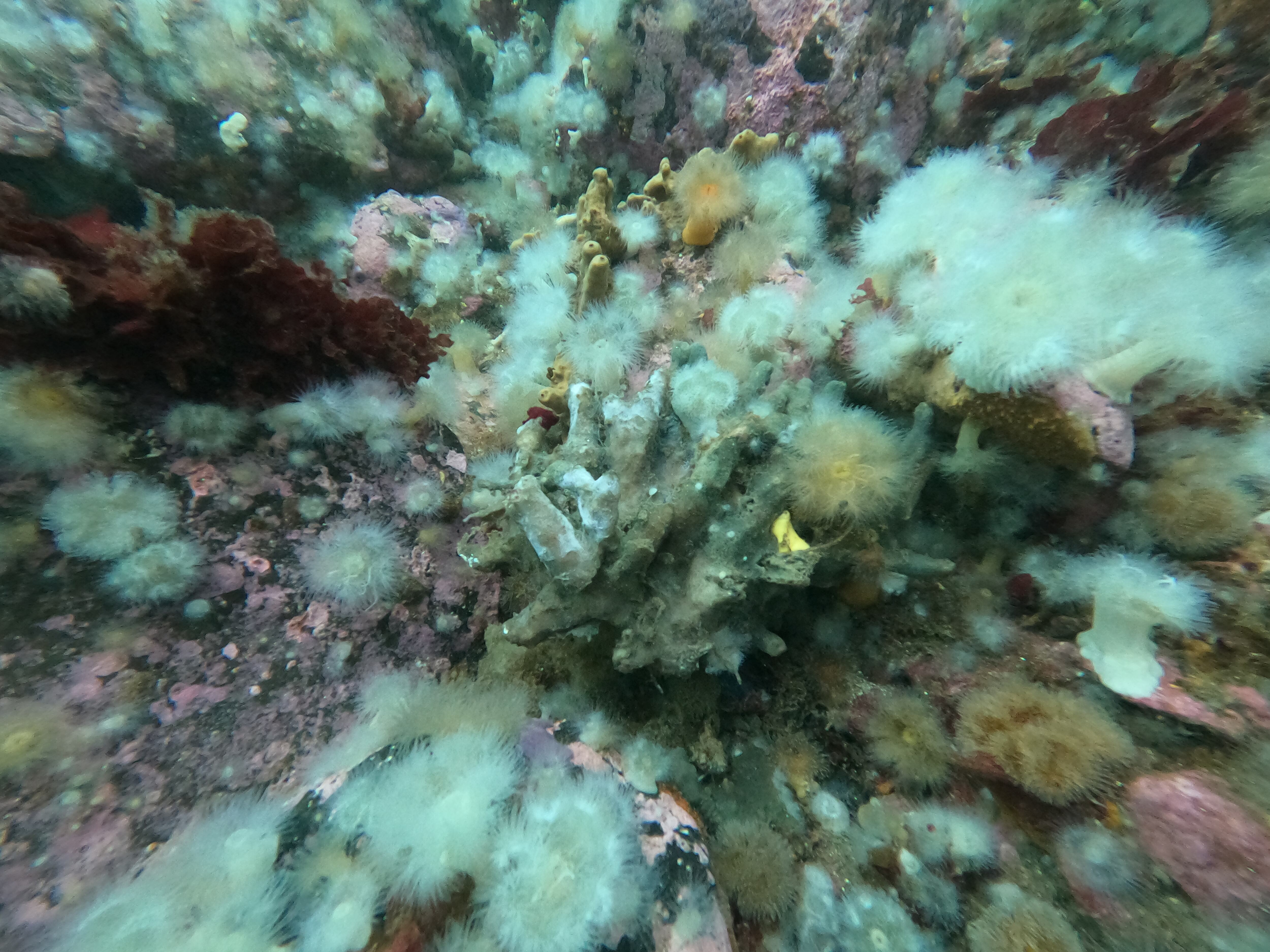 DCIM\100GOPRO\GOPR4633.JPG