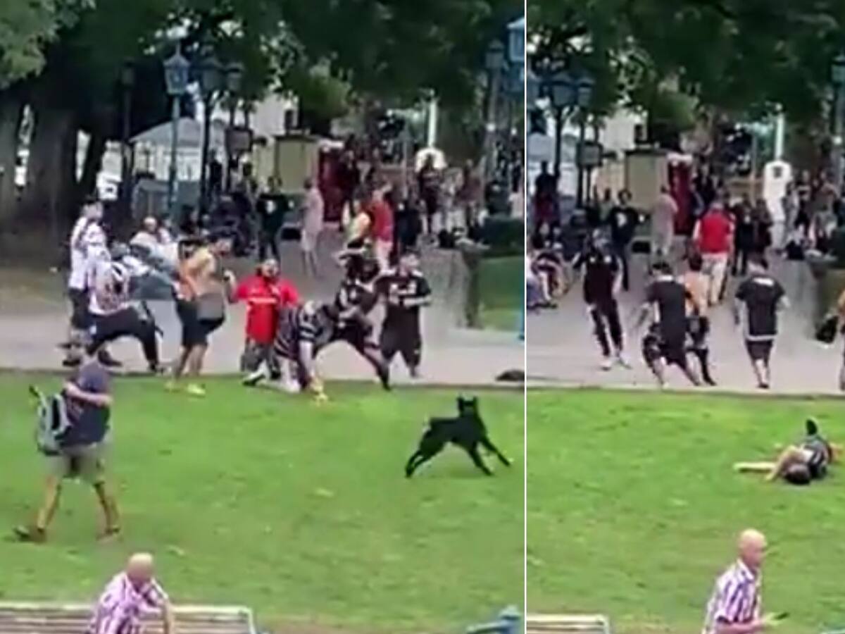 Incidentes en Mendoza: hinchas de Colo Colo protagonizan brutal pelea en la previa del duelo ante Godoy Cruz