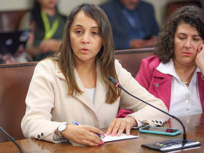 La diputada Carla Morales
