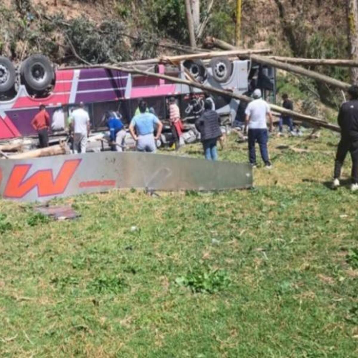 Tragedia en carretera de Perú deja al menos 18 muertos tras caída de bus por barranco