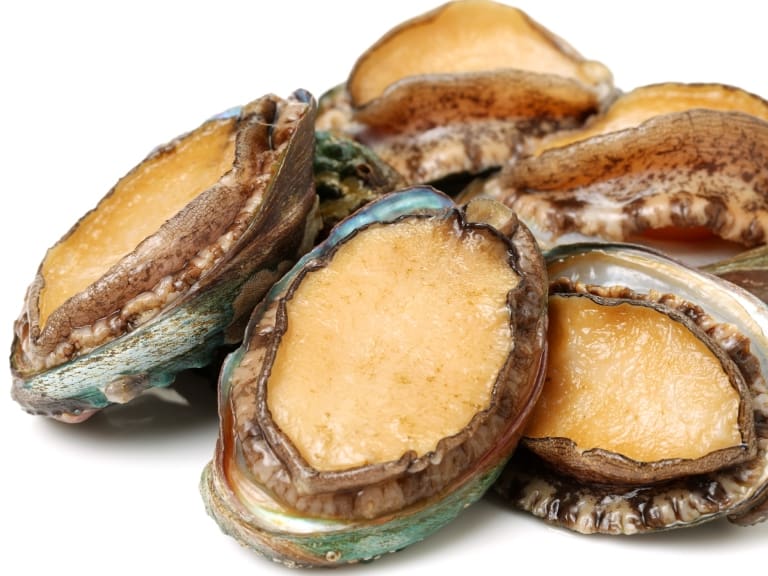 ¡Si es chileno, es bueno! Loco nacional fue elegido el Molusco Internacional del Año