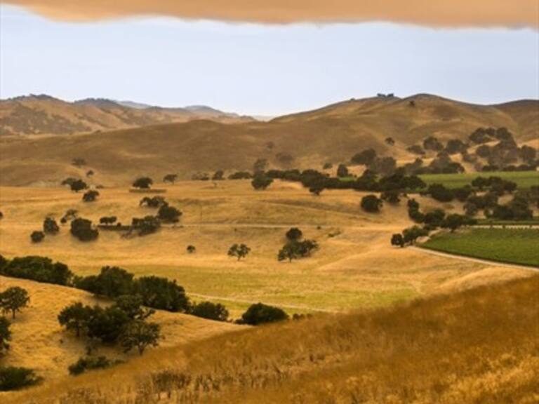 ¿Luchar contra el cambio climático? Hazte vegetariano, deja el auto y ten menos hijos