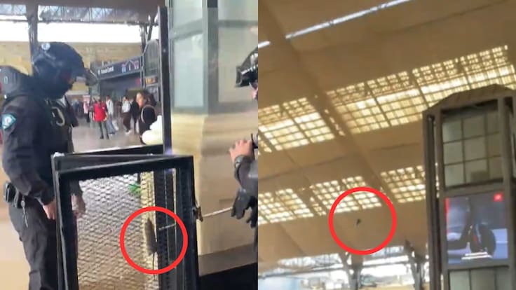 “Alexis y la Copa Américaaa...”: guardia le da feroz puntete a ratón en Estación Central y el video ya es viral
