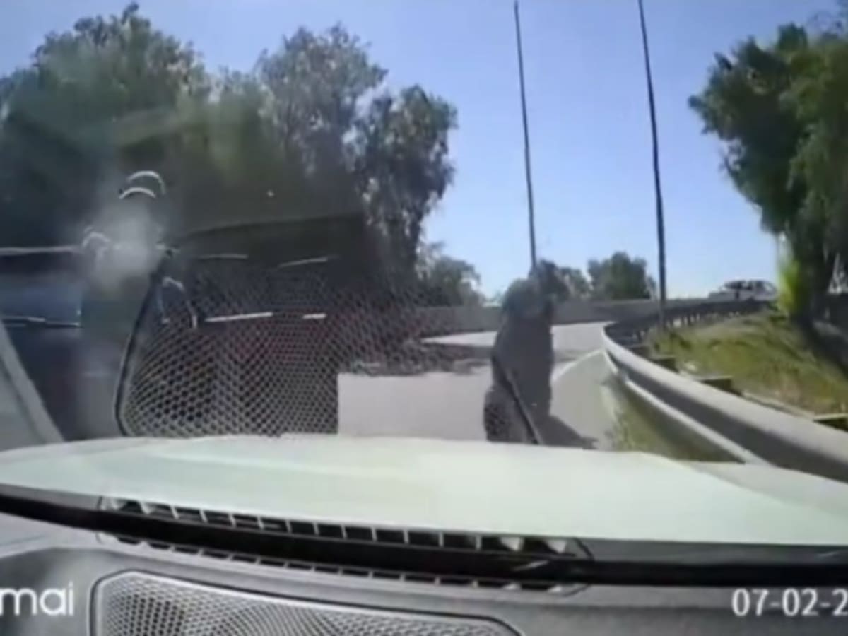 “Los tipos dispararon”: habla conductor que atropelló a delincuente en Quilicura y relata cómo logró escapar de encerrona