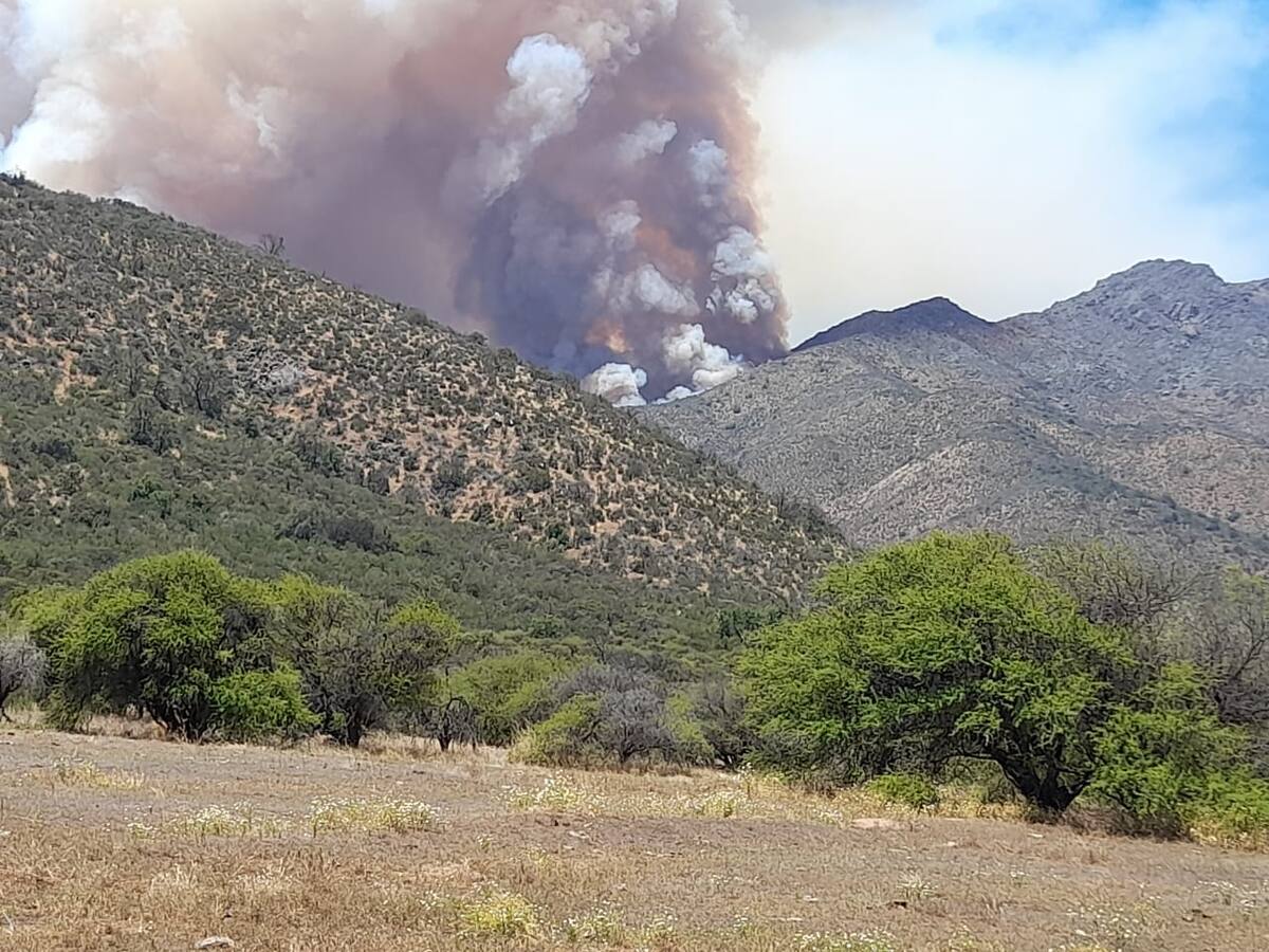 Incendios forestales en la Región de Valparaíso: revisa la actualización de los siniestros que afectan a cuatro sectores
