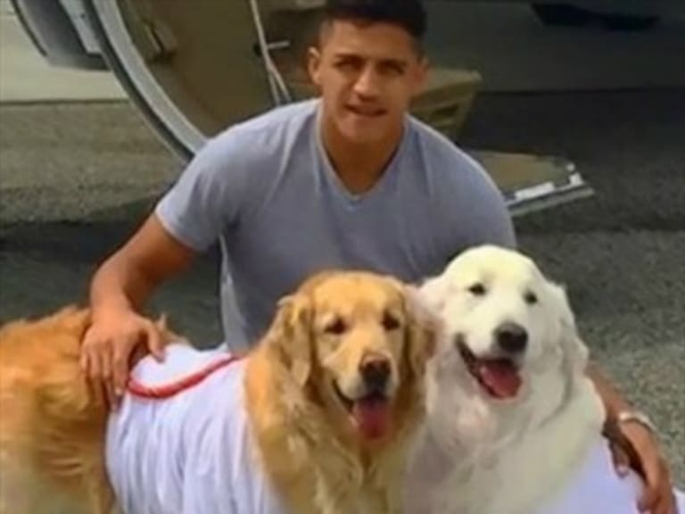 En Inglaterra muestran preocupación por los perros de Alexis Sánchez