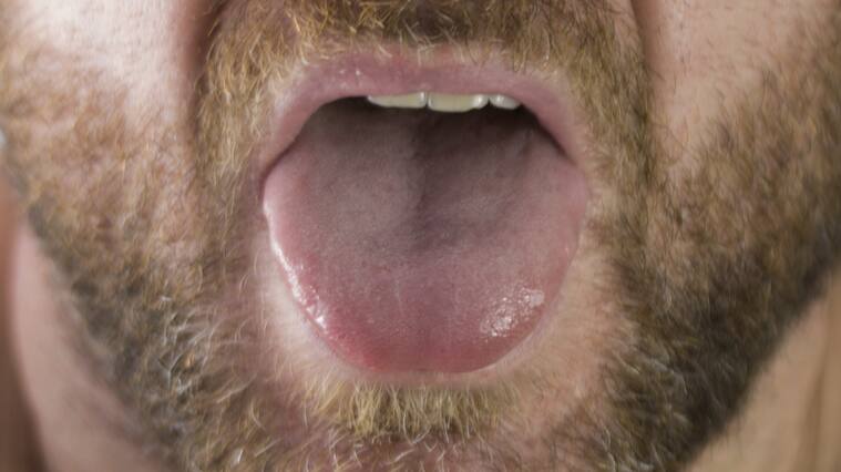 Lengua