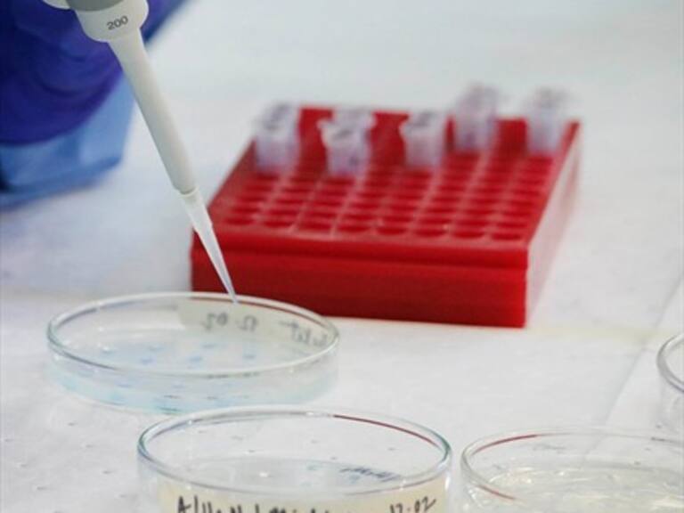 ISP aún no determina el origen de la bacteria que mató a dos lactantes en clínica