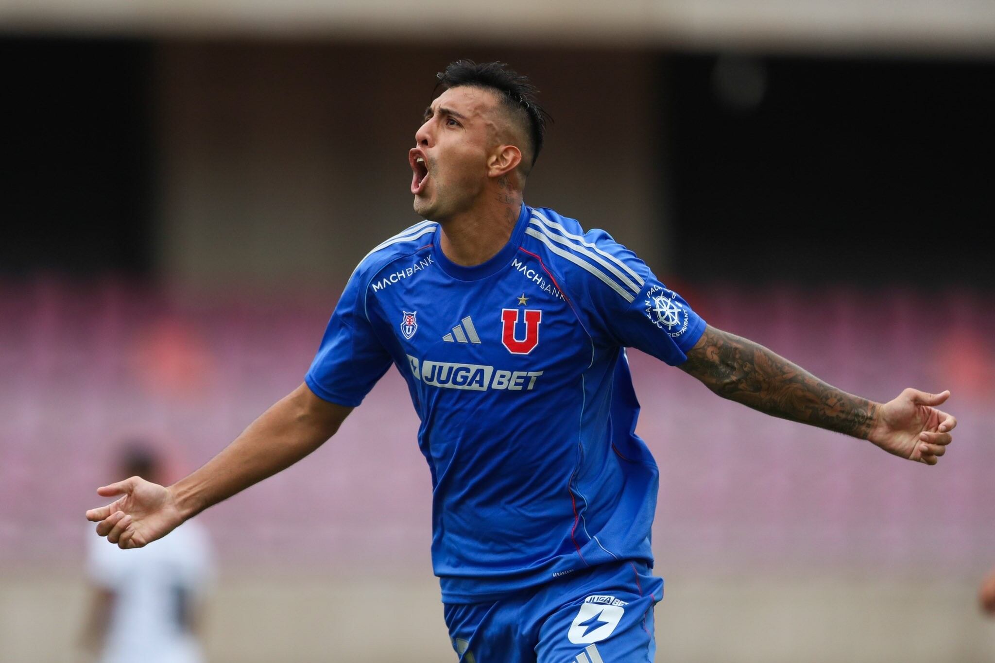 @udechile