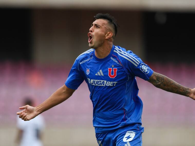 @udechile