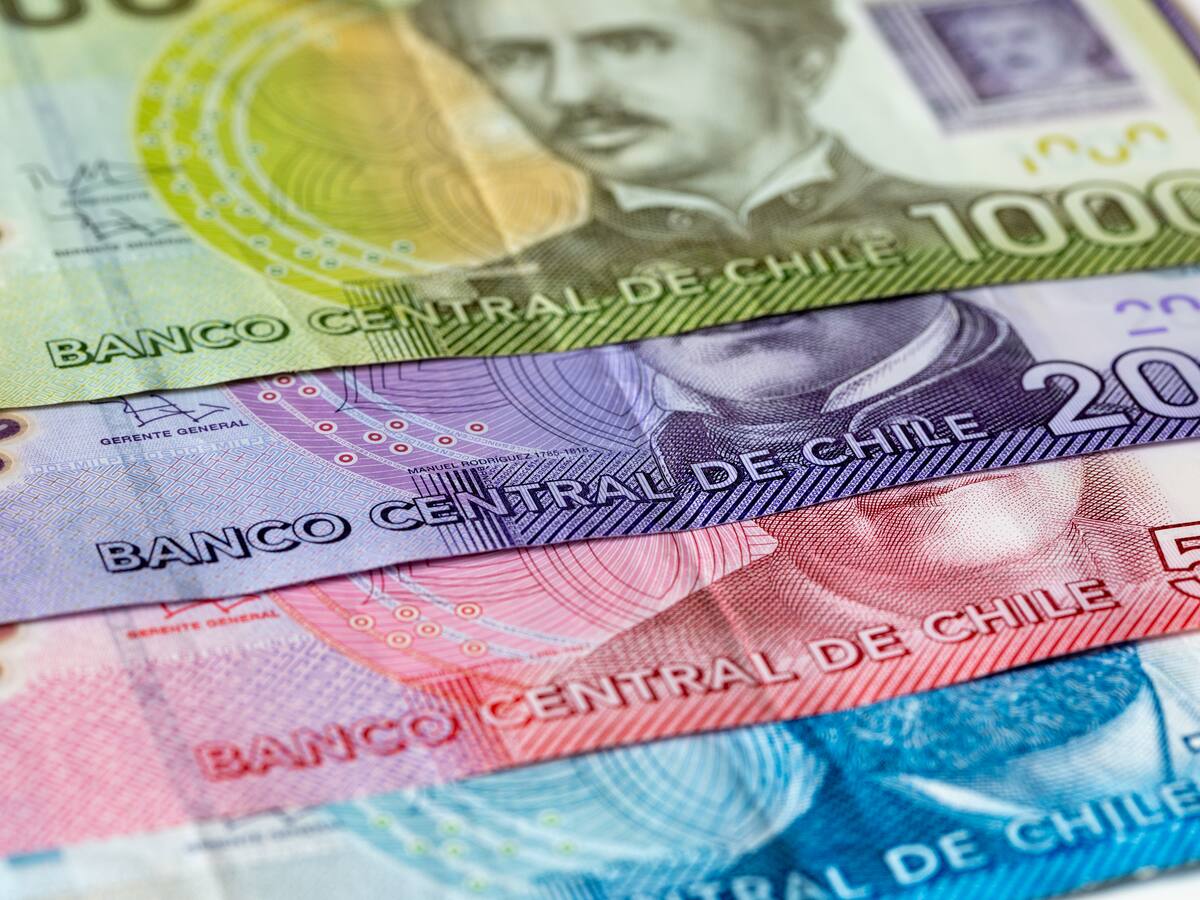 Bono marzo 2024: desde cuándo se podrá consultar con el RUT y cuál es la fecha de pago del Aporte Familiar