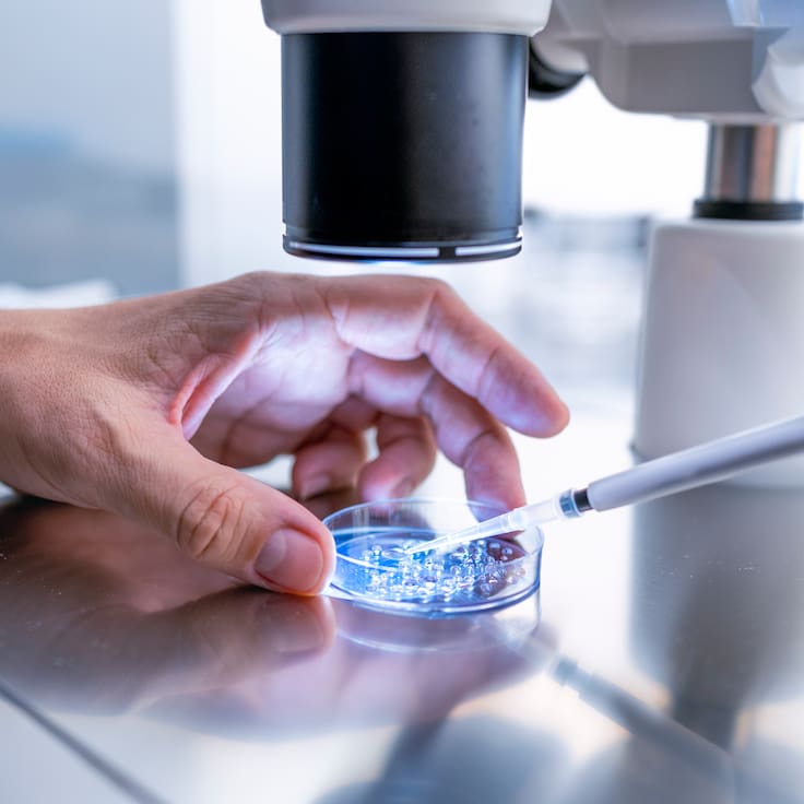 Científicos prueban vacuna universal que promete enfrenta la gripe, COVID y alergias al mismo tiempo