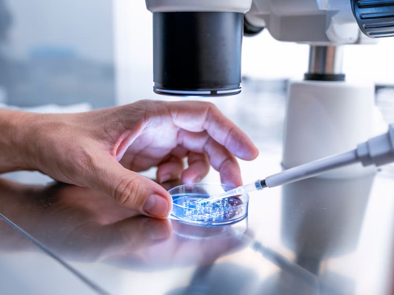 Científicos prueban vacuna universal que promete enfrenta la gripe, COVID y alergias al mismo tiempo